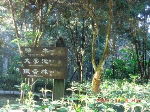 Going to the sky corridor! Excited!