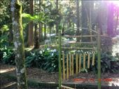 There are many surprises in the forest if you look for it :): by ciel, Views[171]