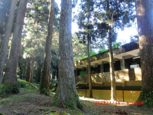 Looks like a school in the forest :)