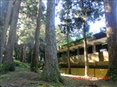 Looks like a school in the forest :): by ciel, Views[179]