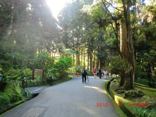 Such amazing day! Forest phytoncid can be just so healing~