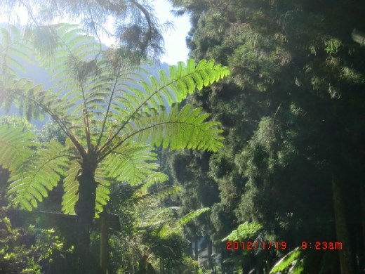 We should never forget our origin. Protect all well :)