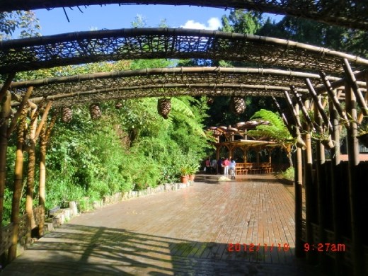 Taking a break! Such a enjoyable sight.