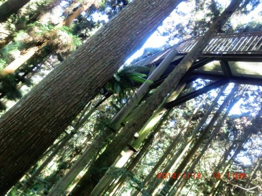 It's cool to see where we were just at from the ground.