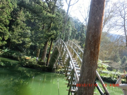 Bridge. So unique and wonderful.