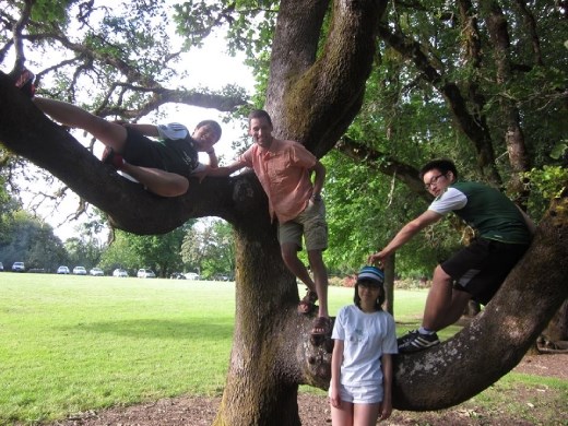 Climbing trees with church friends. 