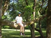 I'm excited to be on the tree :)) I like the breeze and view ;): by ciel, Views[179]