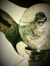 Visiting a friend's house. Now thinking back, we've known each other for almost 2 years now! Wow! How time flies.: by ciel, Views[191]