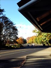 Watiing for the bus to go home.: by ciel, Views[252]