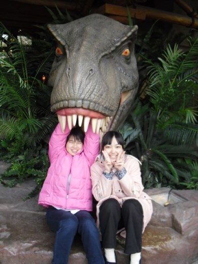 My sister and I went on a ride in Universal Studio. I never thought I would have the courage to do so!!