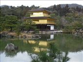 Golden Pavilion. Kinkakuji temple.: by ciel, Views[228]