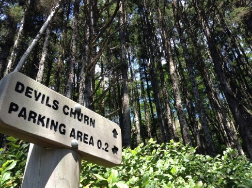 In the forest by the coast! Forest, water, how can it get better?