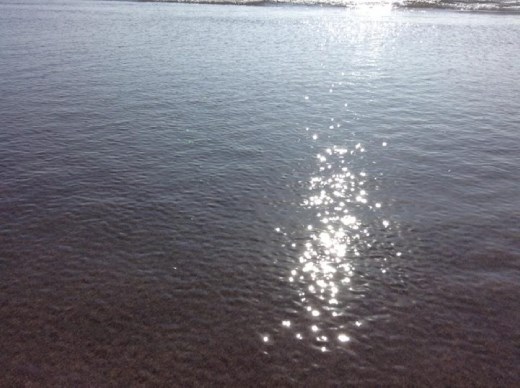 The place where life started.