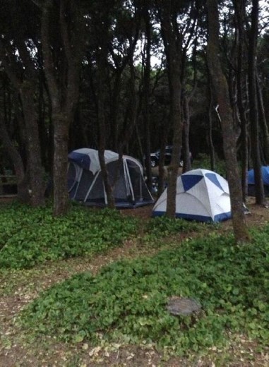 Camping! That was our camp ground :)