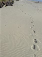 Leaving footprints. I was there :): by ciel, Views[225]
