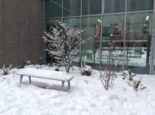 The day when the world turns white :)