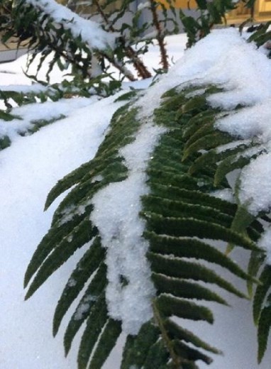 Have you ever got to see your world in downside view? You should, it's new. 