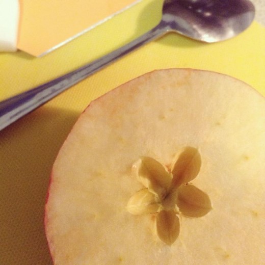 The flower in the Heart of the apple :))) Have you ever notice?
