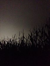 Time pass by so fast! I felt like I was just there yesterday.: by ciel, Views[468]