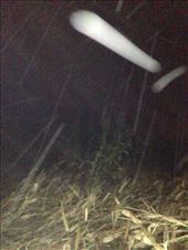 I was so scared at that time. hahaha: by ciel, Views[507]