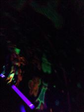 Glow in the dark spinning room. That was super dizzy but a super awesome experience!: by ciel, Views[569]