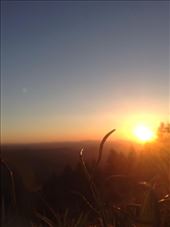 This is the setting of the sun. I love that dew, tt was just in a perfect place for this amazing picture!: by ciel, Views[183]