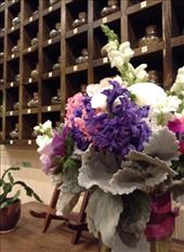 Tea house! One of the best place in Eugene to hangout and do schoolwork!: by ciel, Views[179]