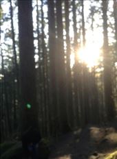 Hiking and working my way up to the top of the mountain!! Go!!: by ciel, Views[220]