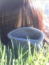 I just love to lie in the grass and enjoy some sun.: by ciel, Views[181]