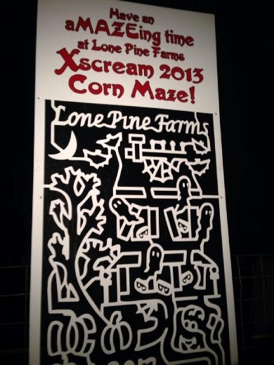 Corn maze!! Such a big maze it took like an hour to finish. Scary, but fun. ;)