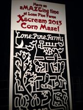 Corn maze!! Such a big maze it took like an hour to finish. Scary, but fun. ;): by ciel, Views[198]