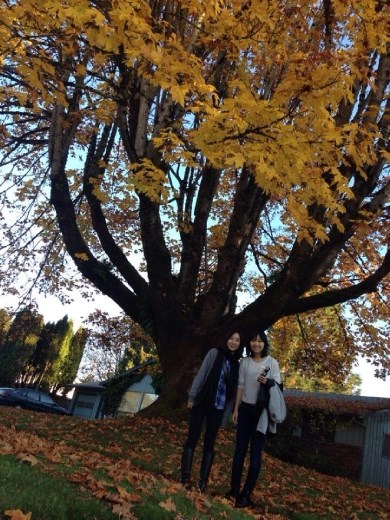 It was fall, and the season is just changing :)