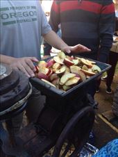 I got to see how to make apple cider! It's amazing! I just love that machine.: by ciel, Views[214]