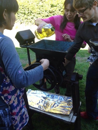 So this is the traditional way of making apple cider! Interesting!