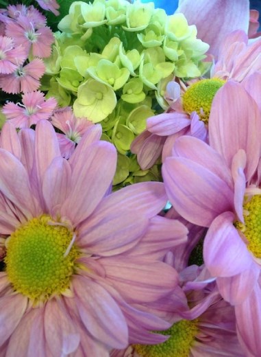 Flower from local farms. Aren't they gorgeous?