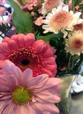 Sometimes we will have beautiful flower from the local farms. : by ciel, Views[257]