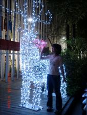 Taichung near art muesum. A deer made from lights!: by ciel, Views[183]