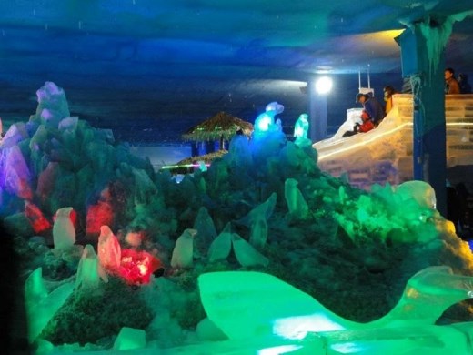My friend and I went to an ice exhibit. We got to go on a slide that's made of ice!! :)