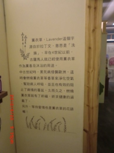 Lavender Cottage/ introduction to lavender and its effect.