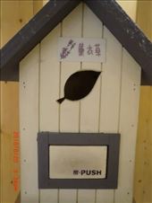 Lavender Cottage/ the small scented house.: by ciel, Views[253]