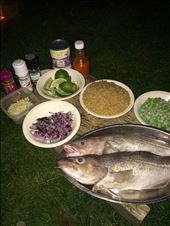 by cilliancrosson, Views[230]