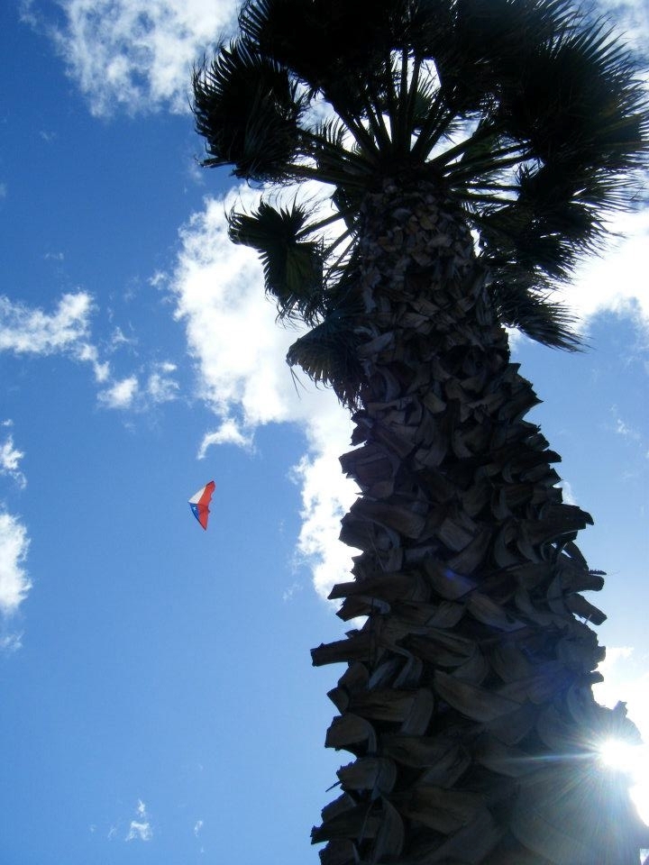 Chile, Viña Del Mar.
18th September, Independence day. Windy day and glimpsed the Chilean Kite up high. This picture always reminds me the feeling of the weather.

Fresh, cool windy day. Blue skies.