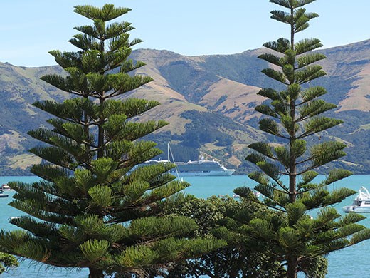 Akaroa with cruise ship