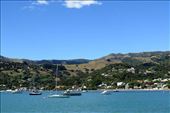 Bay at Akaroa on the Banks Peninsula: by cindya, Views[225]