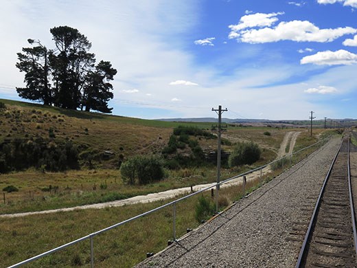 the plains of Central Otago