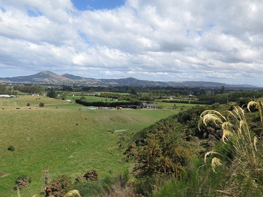view of Taieri Plains