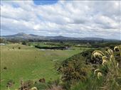 view of Taieri Plains: by cindya, Views[226]