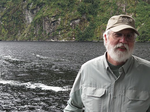 Bill and the dolphins