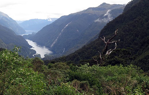 Deep Cove into Doubtful Sound