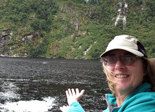 Dolphins are out there